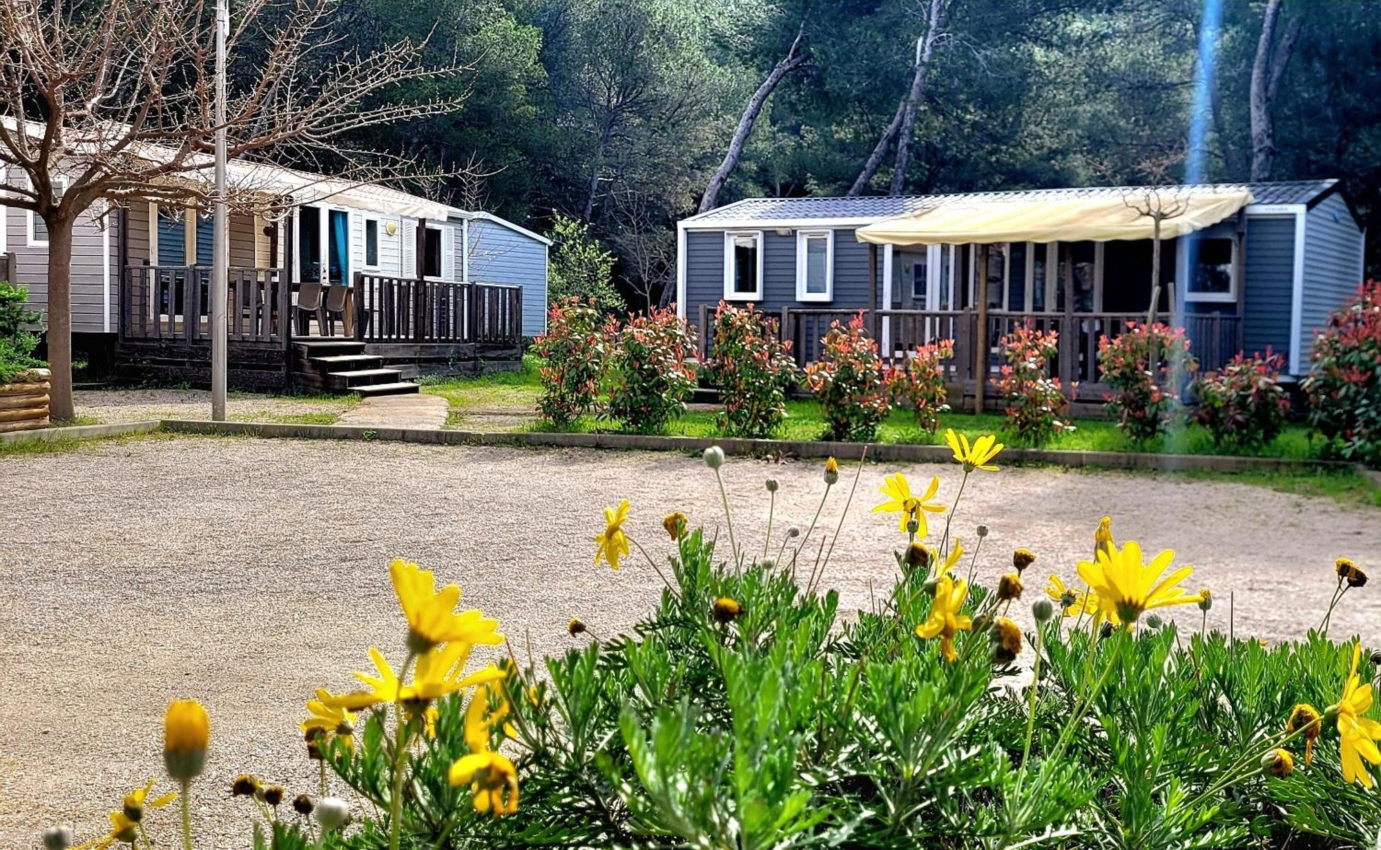 Camping Aux Portes De Cassis Рокфор-ла-Бедюл Екстериор снимка